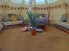Glamping With Llamas