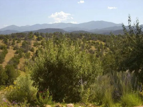 Artist Road #31, 2 Bedrooms, Sleeps 4, Wood Fireplace, WiFi, Pool Access