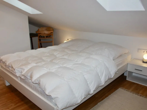 FeWo Bergwiese Oberstaufen/Steibis