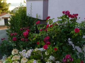 Apartmani Ferdi