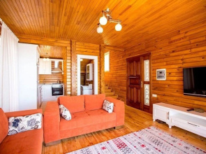 Villa Mini