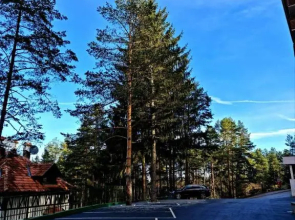 Lux apartman Zlatibor S14 - vila Peković