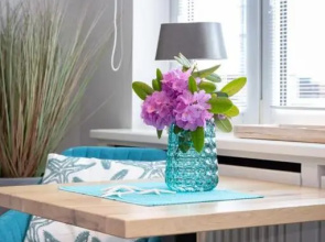 Seestern App 3 d
