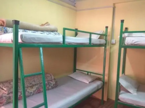 Beehive Hostel