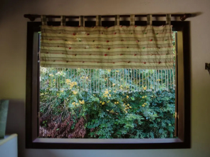 Arua Hostel E Observacao Da Natureza