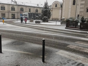 Retica Tirano