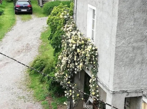 La Fattoria del Pino