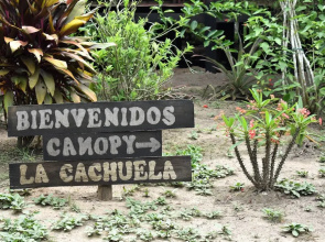 Ecoaventuras Amazonicas
