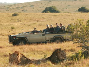 Lalibela Game Reserve