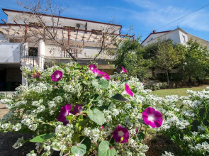 Apartments Simic-with Beautiful View