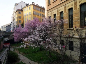 Style Homes Brera