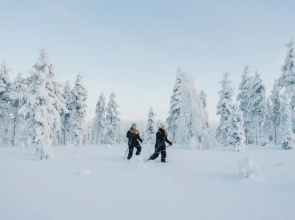 Wilderness Hotel Kieppi