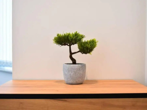 Beautiful 2-bed Apartment in Lancashire