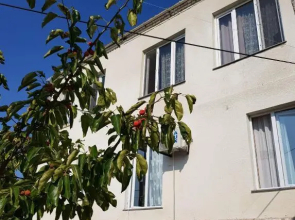 Art House 33
