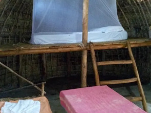 Room-mida Creek Eco Camp - Lodge