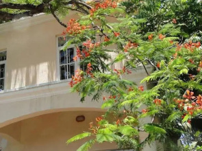 Villa Ylang