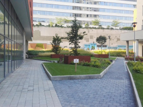 Apollo Apartment