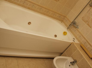 Меблированные комнаты Золотой Лев