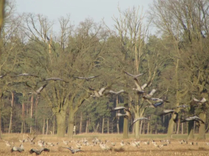 Radlerzimmer (Zweibettzimmer)