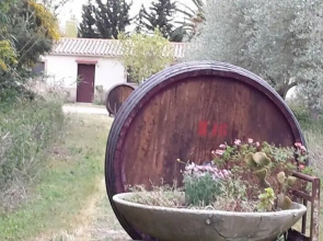 Agriturismo S'Anea