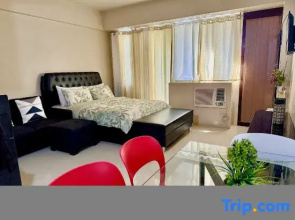 One Palm Tree Villas Across MNL Airport T3