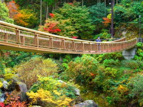 Ajisai no Yado Miyakoso