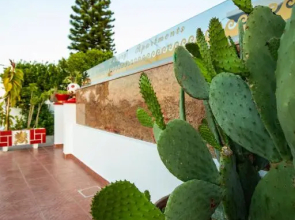 Margarita luxury apartment 2