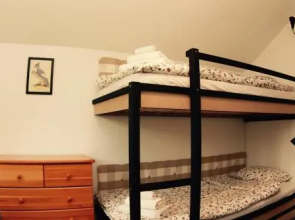 Bird House Apartment