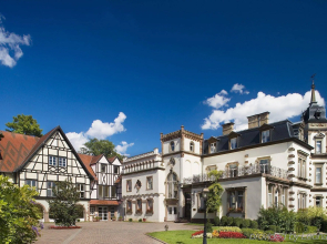 Hôtel Château de l'Ile