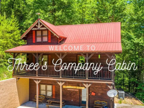 Secluded 3BR Cabin w Hot Tub Dog Friendly Sleeps12