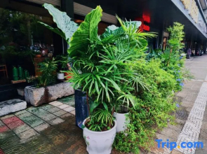 Ruoyin Hostel