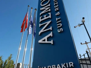 Anemon Diyarbakır Suit Hotel