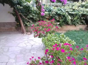 Apartment Anđelka