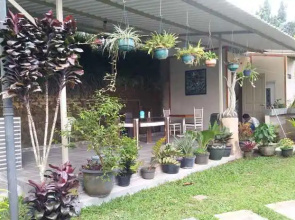 Villa Boenda Moelia