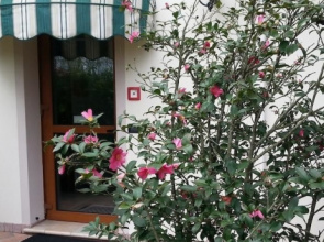 B&B Villalta