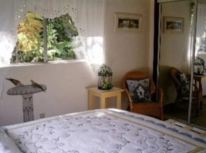 Hapu'u Fern Cottage