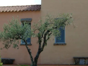 Li Cosi Boni