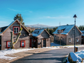 Holiday Homes in Torfhaus Harzresort, Torfhaus