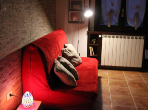 Le Conifere