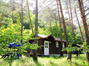 Yangyang Forest Home Pension