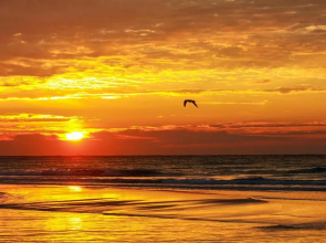 The Campbell Beach House