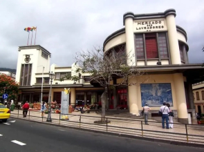 Studio in Funchal - Teleferico