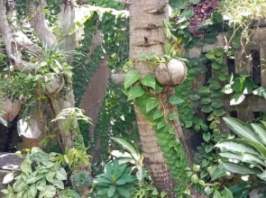 Coliving Bali SWEET HOME Kost Lengkap di Tabanan Kota