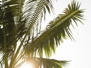 The Godfrey Hotel Hollywood