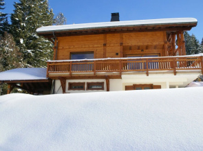 Sunny Chalet in Les Gets with Jacuzzi