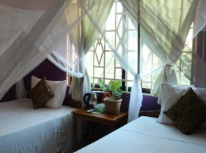 Moonlight Kiss Hostel