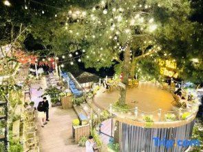 Mo Mang House Tam Đao
