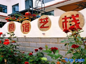 Harajuku Art Store (Entrance Store of Wudang Mountain Scenic Area)