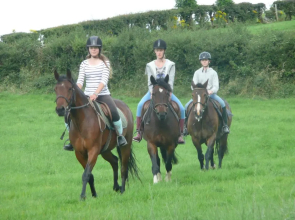 The Rock Equestrian Farm B&B