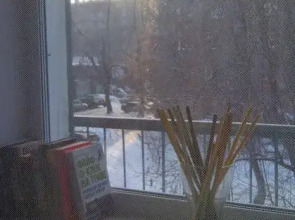 На Дуси Ковальчук